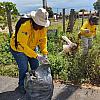 Prefeitura de Naviraí intensifica mutirões de limpeza para combater focos do Aedes aegypti