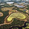 Ministro da Agricultura diz que seca será a destruição do Pantanal
