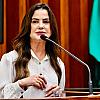 Mara Caseiro solicita reparo urgente em ponte sobre o Rio Miranda