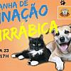 Vacinação antirrábica continua neste sábado, dia 23, em Naviraí