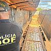 Pasta base avaliada em mais de R$ 15 milhões é apreendida em MS