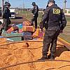 Motorista é preso pelo DOF com carga milionária de maconha que seria levada a Santa Catarina