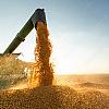Produção de grãos em 2023 deve atingir recorde de 302 milhões de toneladas