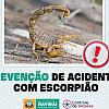 aviraí alerta sobre importância prevenção de acidentes com escorpião